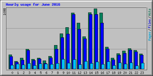 Hourly usage for June 2016