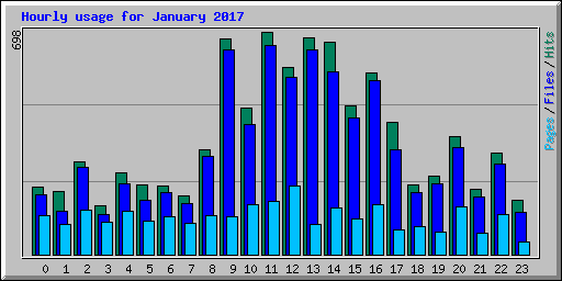 Hourly usage for January 2017